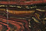Polished Tiger Iron Stromatolite Slab - Billion Years #239616-1